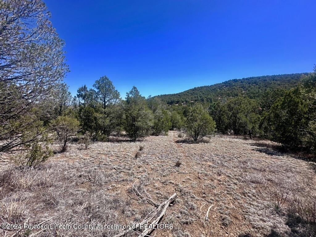 269 Santiago Circle, Alto, New Mexico image 10