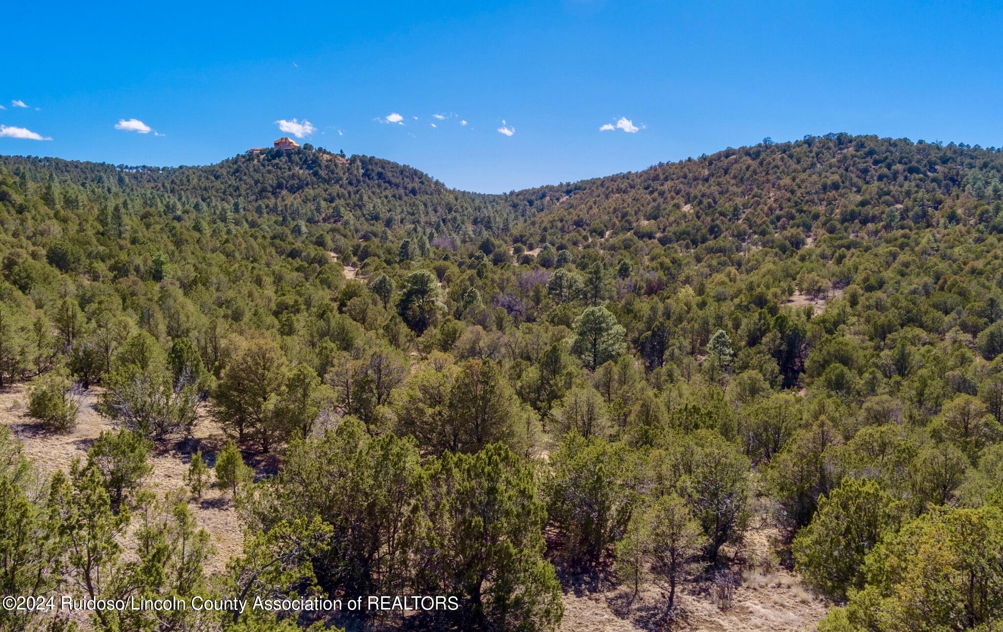 269 Santiago Circle, Alto, New Mexico image 1