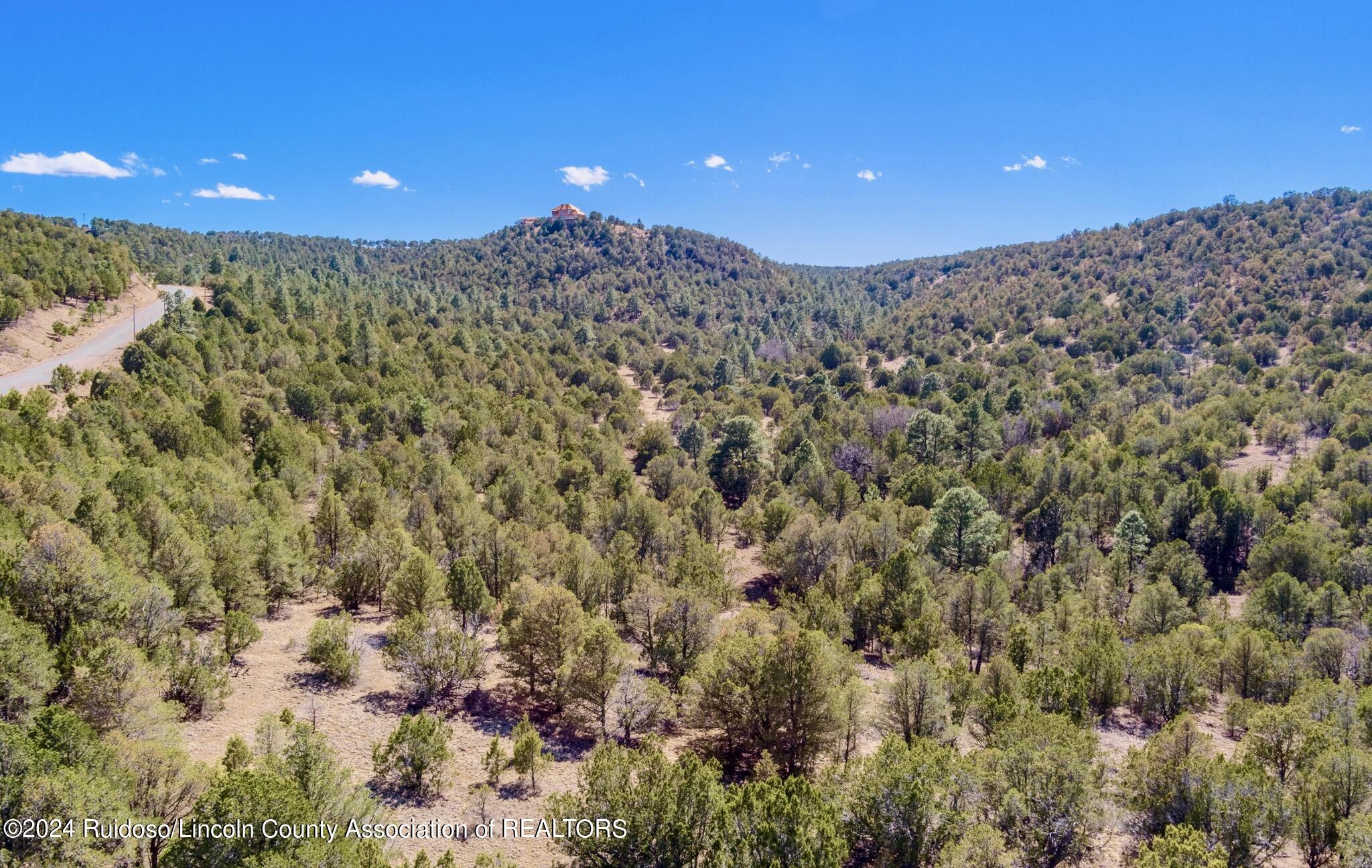 269 Santiago Circle, Alto, New Mexico image 22
