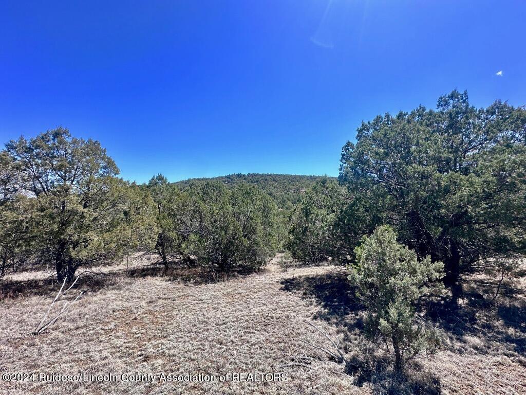 269 Santiago Circle, Alto, New Mexico image 14