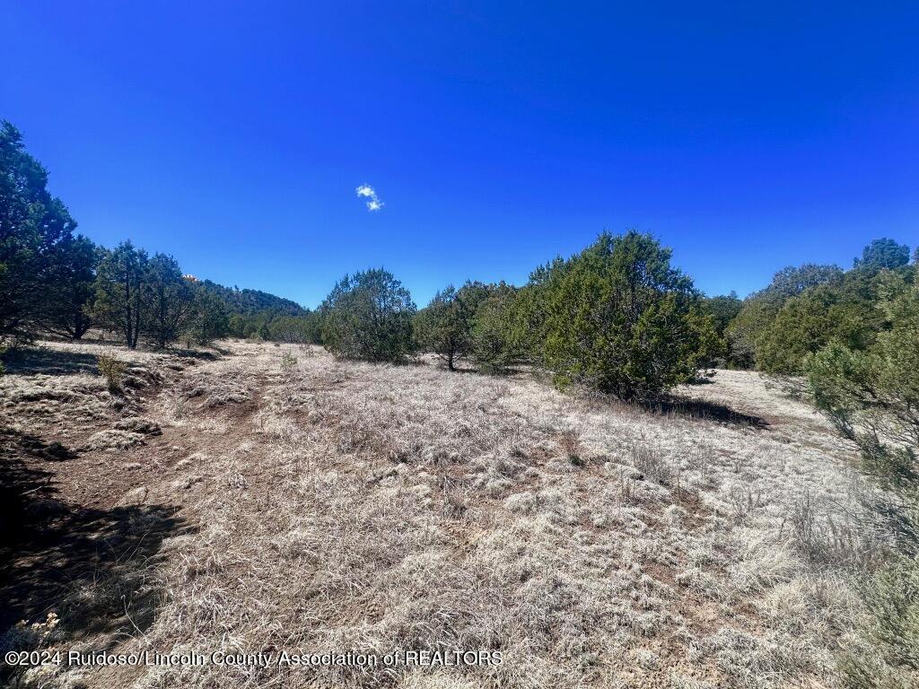 269 Santiago Circle, Alto, New Mexico image 5