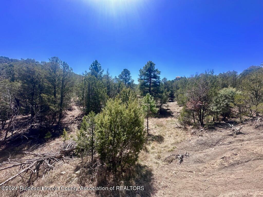 269 Santiago Circle, Alto, New Mexico image 9
