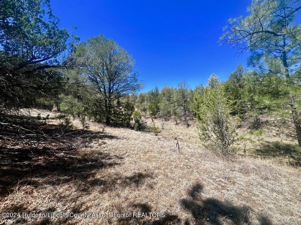 269 Santiago Circle, Alto, New Mexico image 8