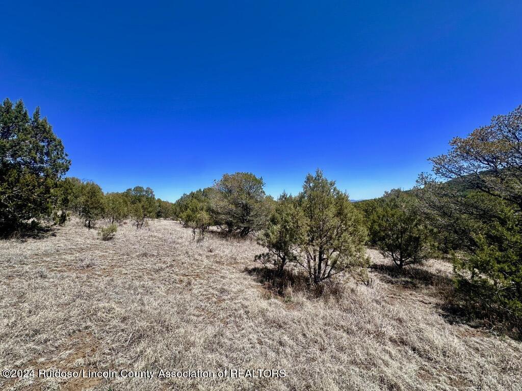 269 Santiago Circle, Alto, New Mexico image 13