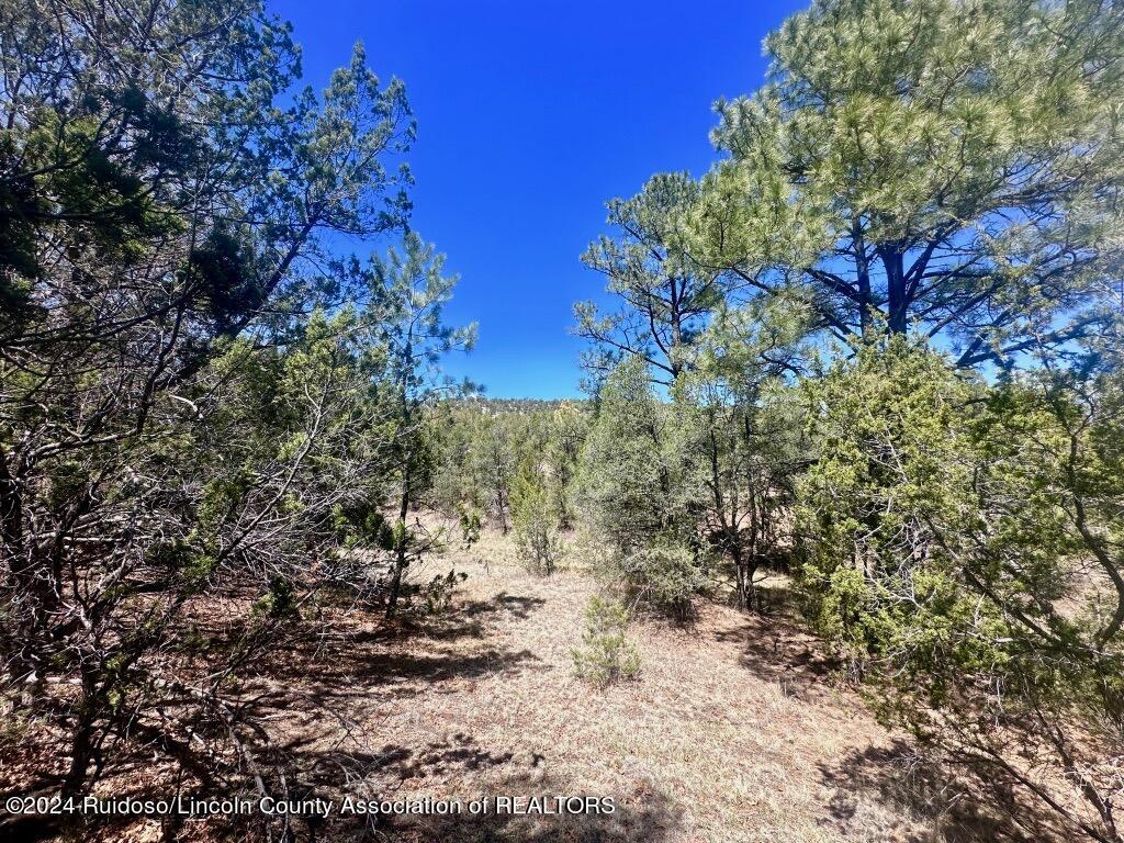 269 Santiago Circle, Alto, New Mexico image 7