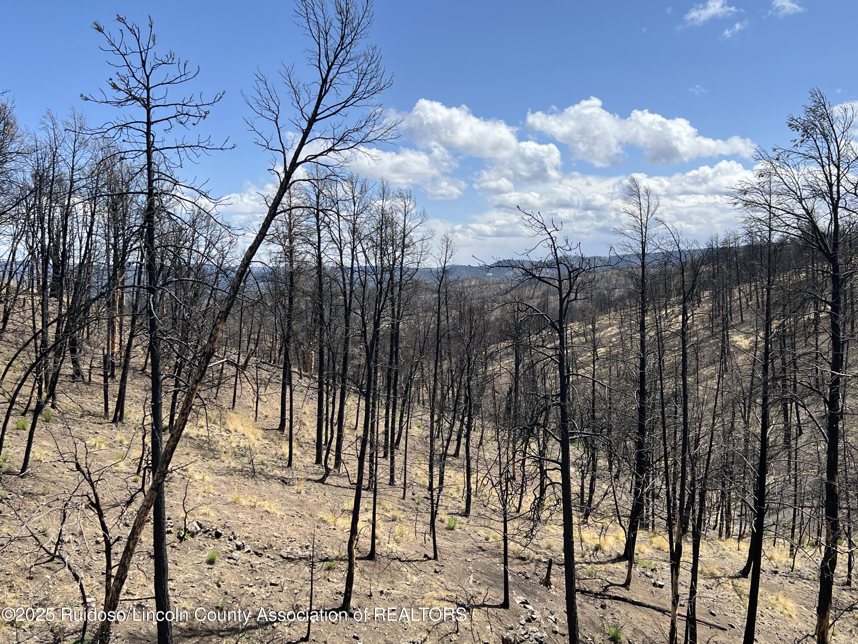 113 Red River Place, Ruidoso, New Mexico image 8