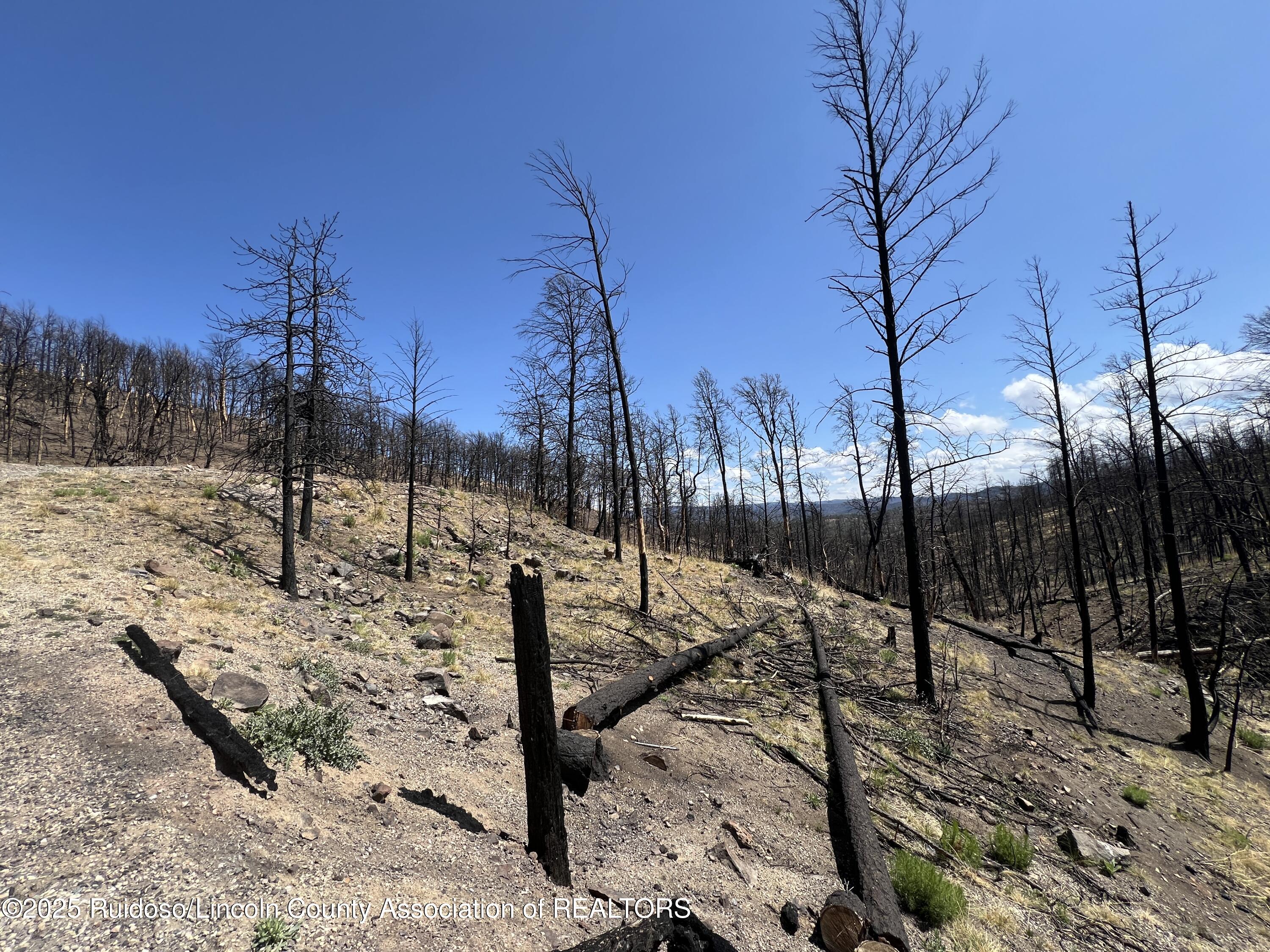 113 Red River Place, Ruidoso, New Mexico image 3