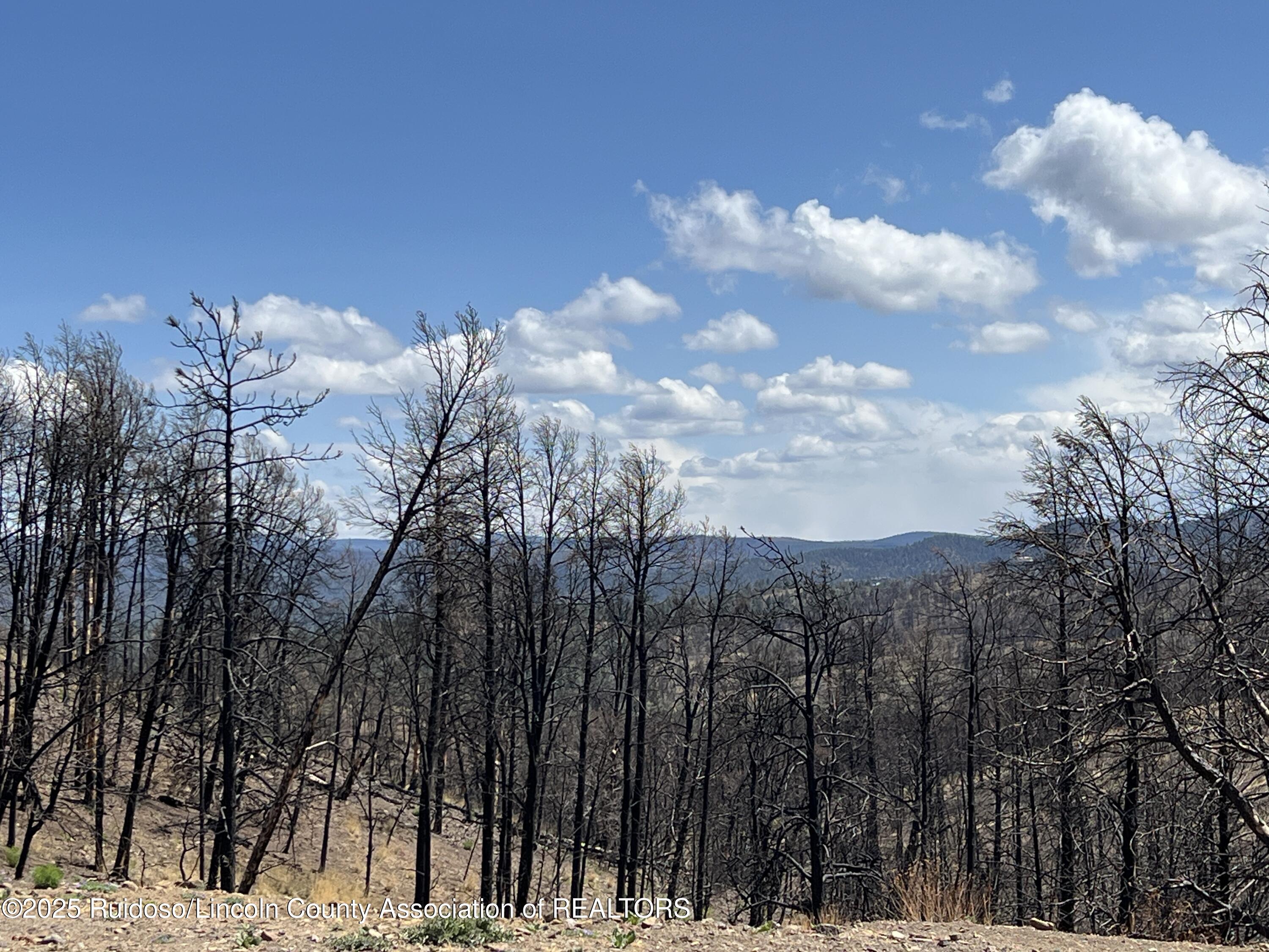 113 Red River Place, Ruidoso, New Mexico image 5