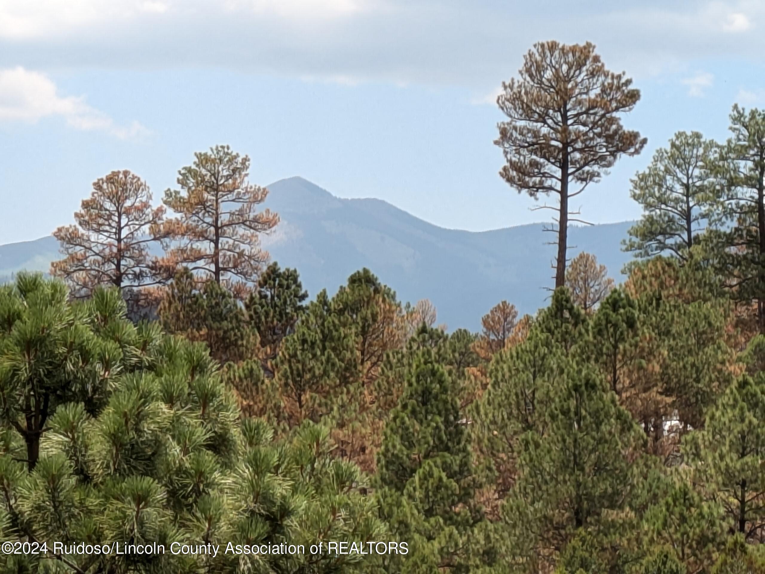 136 Deer Creek Road, Ruidoso, New Mexico image 47