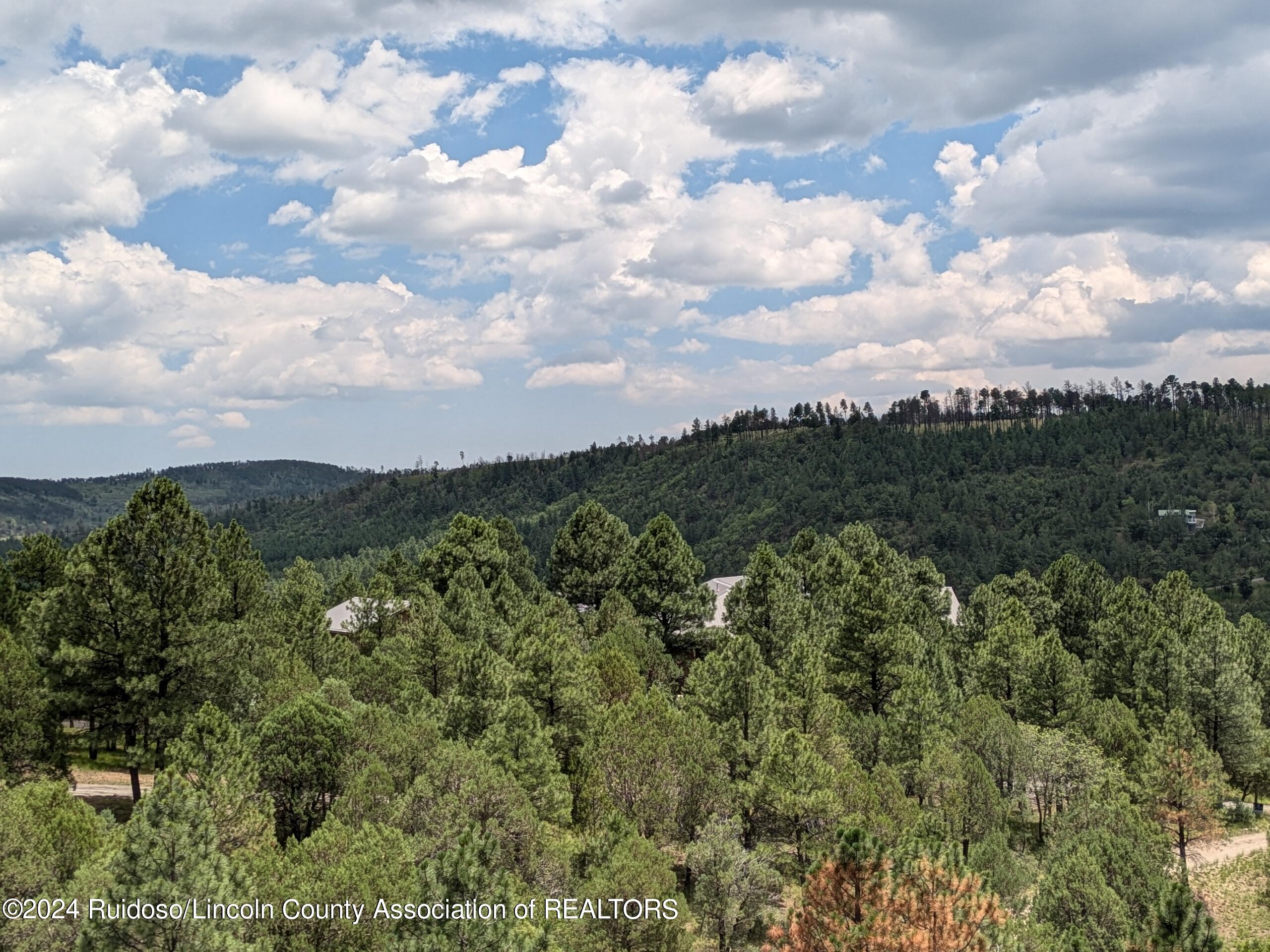 136 Deer Creek Road, Ruidoso, New Mexico image 49