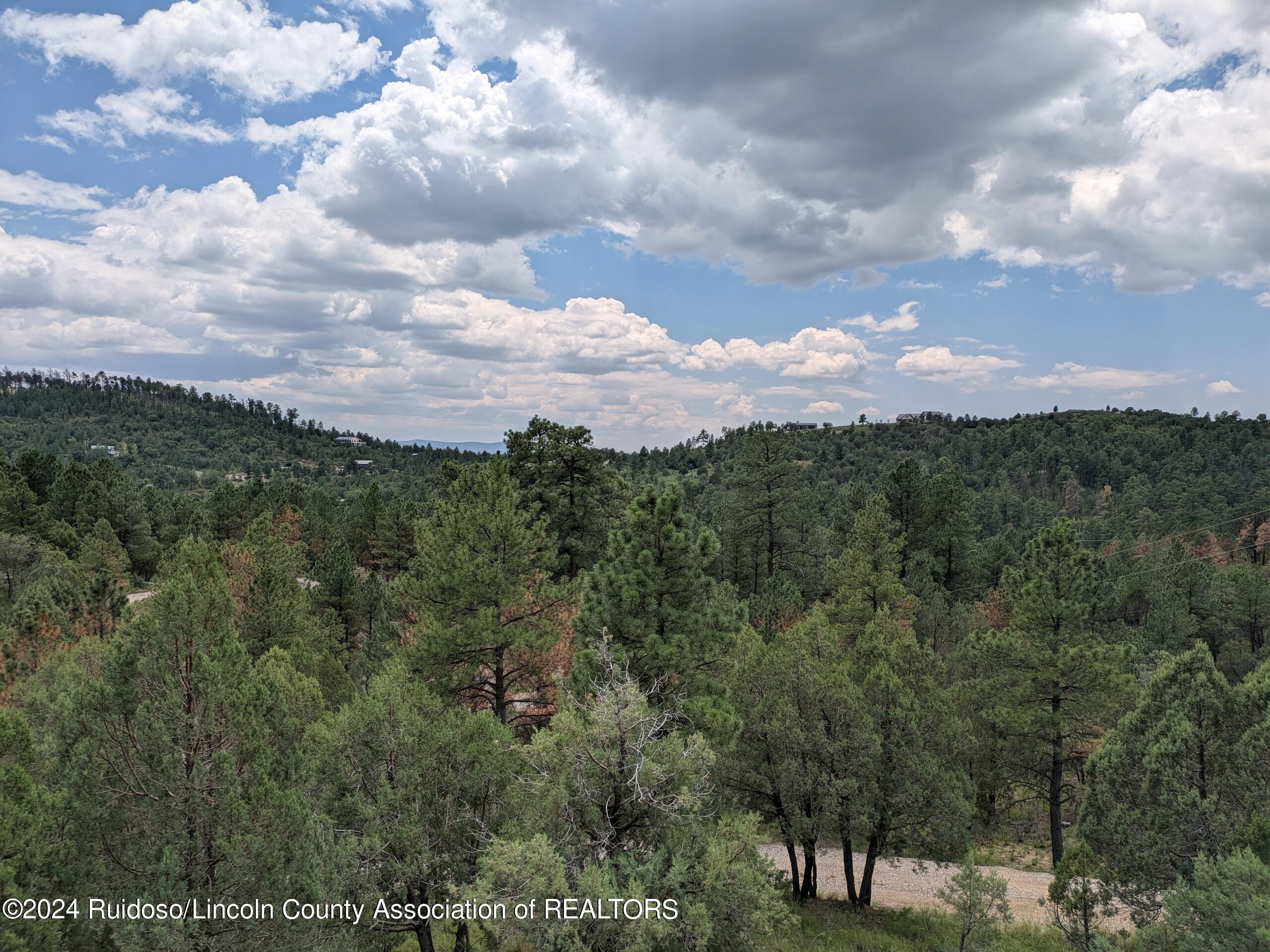 136 Deer Creek Road, Ruidoso, New Mexico image 22