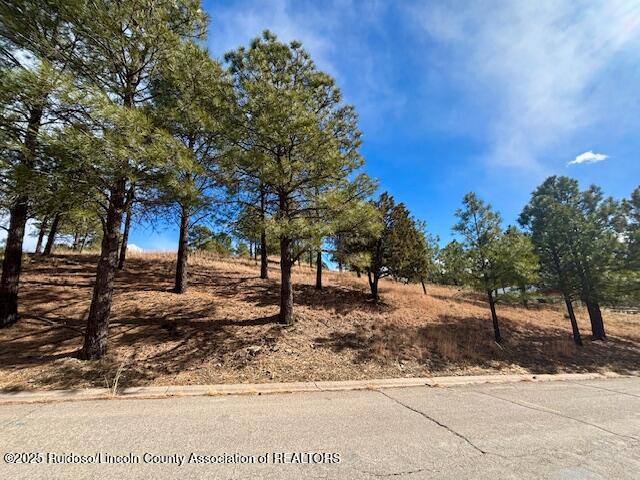 216 Sunny Slope Drive, Ruidoso, New Mexico image 7