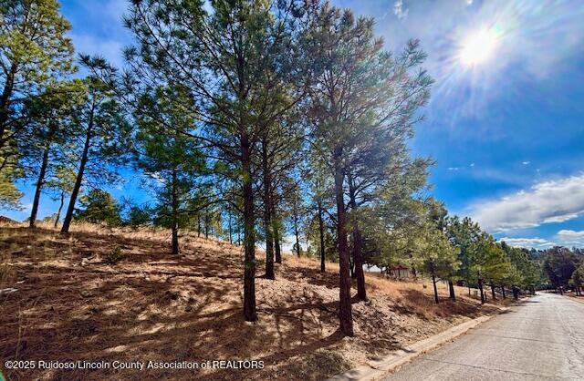 216 Sunny Slope Drive, Ruidoso, New Mexico image 2