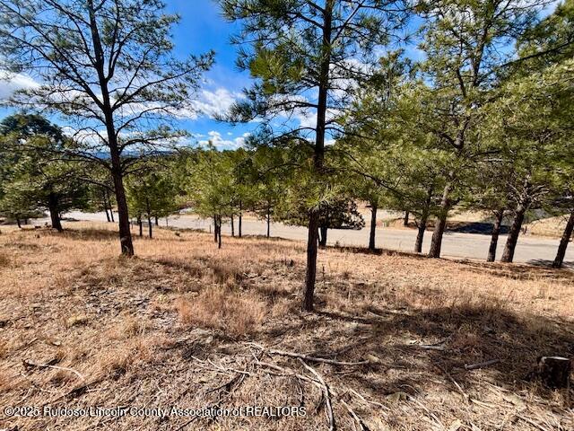 216 Sunny Slope Drive, Ruidoso, New Mexico image 6