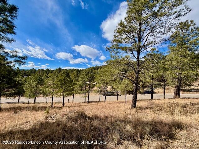 216 Sunny Slope Drive, Ruidoso, New Mexico image 4