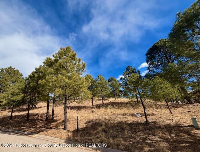 216 Sunny Slope Drive, Ruidoso, New Mexico image 3