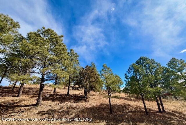 216 Sunny Slope Drive, Ruidoso, New Mexico image 1