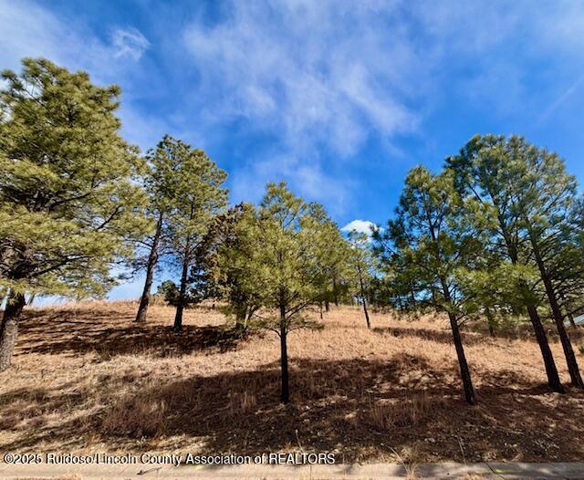 216 Sunny Slope Drive, Ruidoso, New Mexico image 5