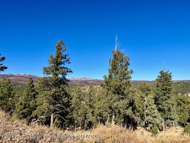 104 Wood Drive, Ruidoso, New Mexico image 5