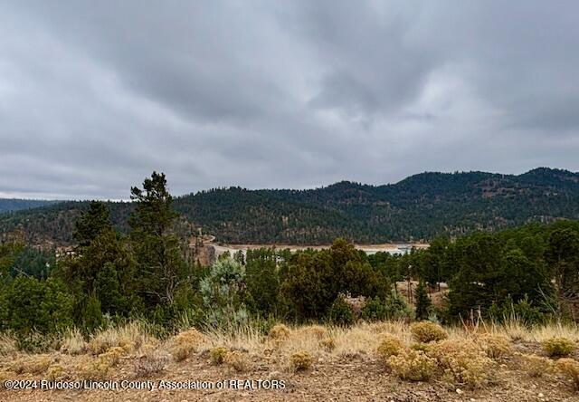 104 Wood Drive, Ruidoso, New Mexico image 11