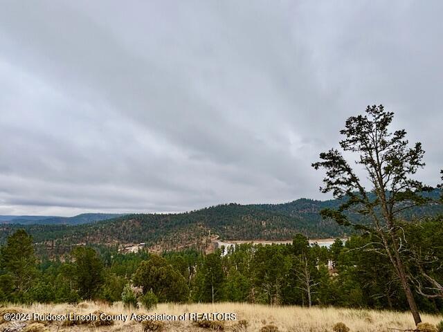 104 Wood Drive, Ruidoso, New Mexico image 8