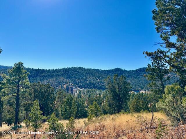 104 Wood Drive, Ruidoso, New Mexico image 2