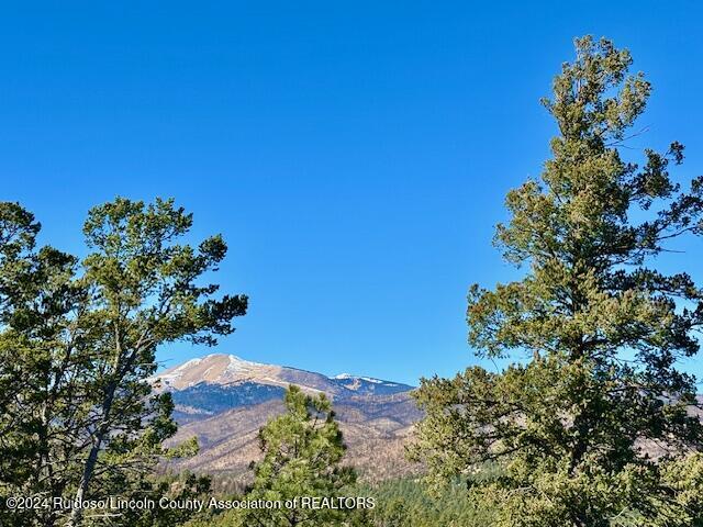 104 Wood Drive, Ruidoso, New Mexico image 1