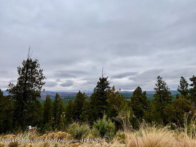 104 Wood Drive, Ruidoso, New Mexico image 13