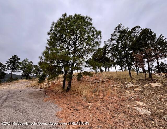 104 Wood Drive, Ruidoso, New Mexico image 9