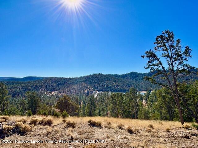 104 Wood Drive, Ruidoso, New Mexico image 3