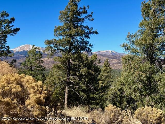 104 Wood Drive, Ruidoso, New Mexico image 7