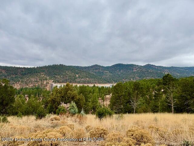 104 Wood Drive, Ruidoso, New Mexico image 10