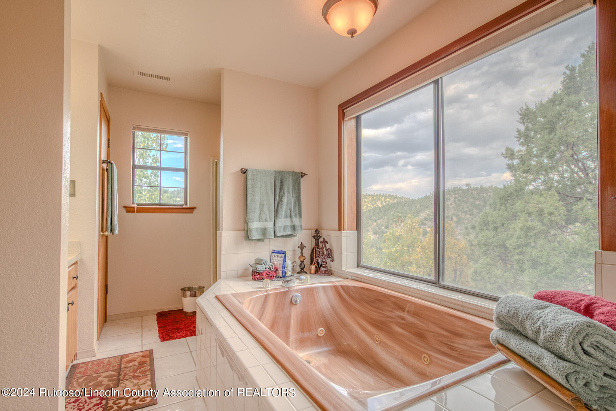 60 Eagle Creek Canyon Road, Ruidoso, New Mexico image 23