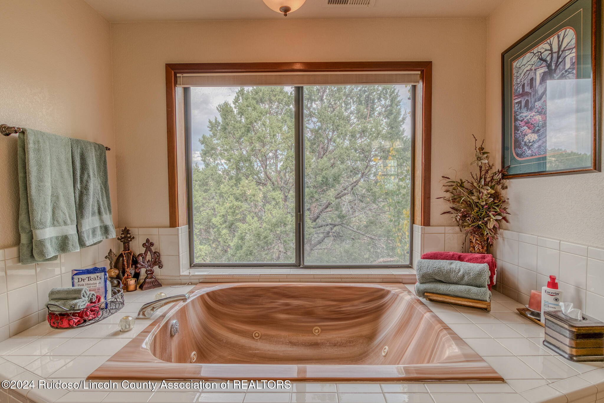 60 Eagle Creek Canyon Road, Ruidoso, New Mexico image 27