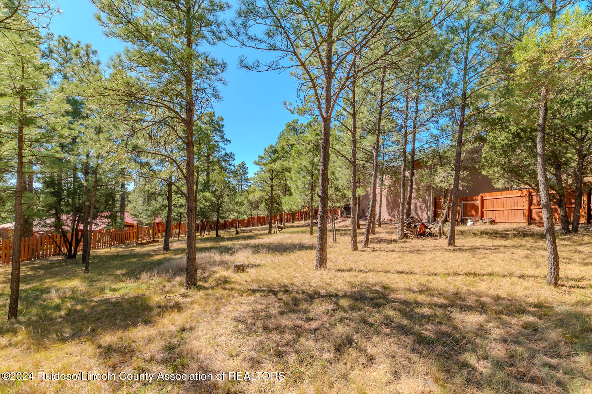 108 E View Place, Ruidoso, New Mexico image 4