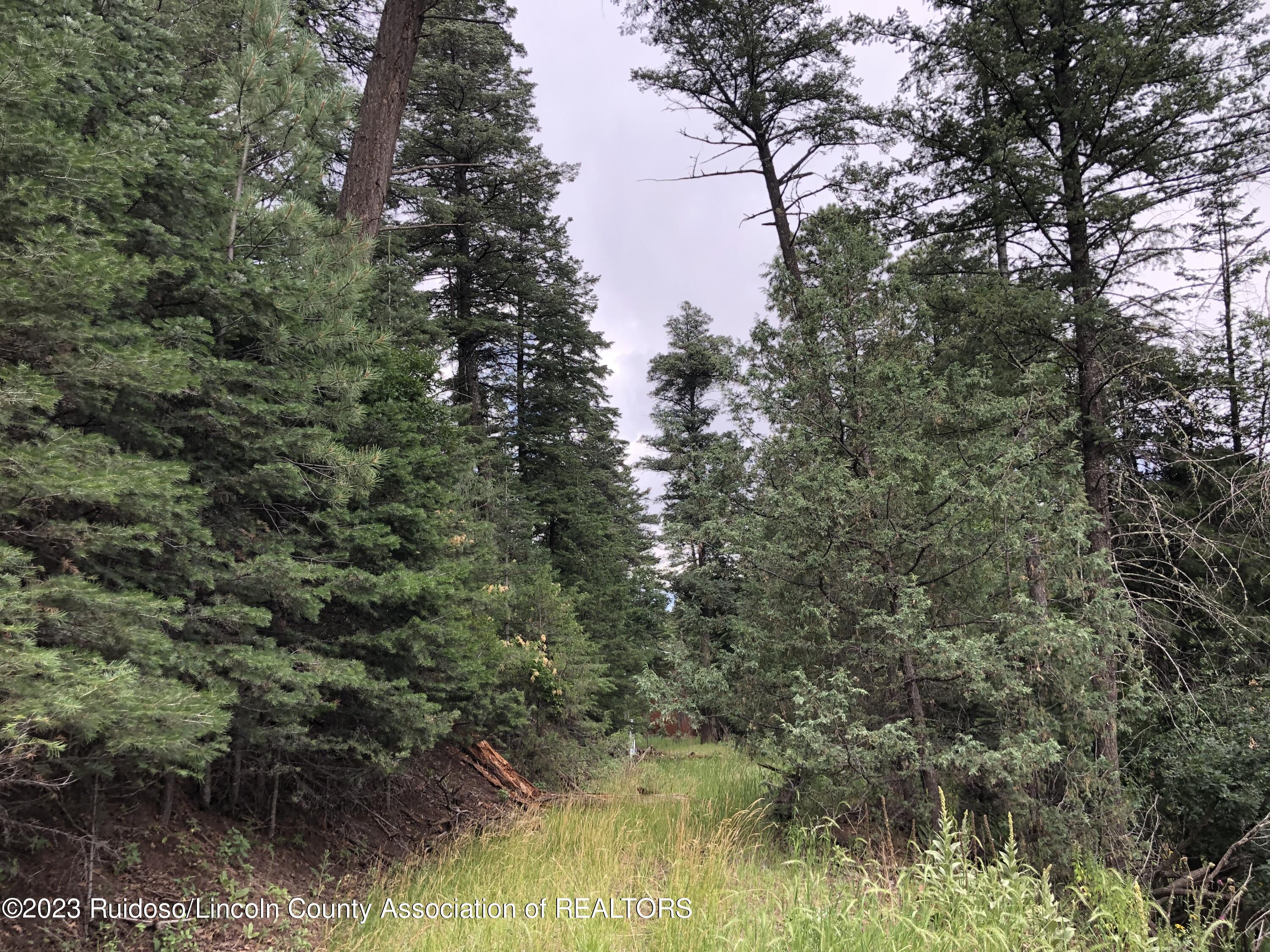 Lot 1&2 Cedar Creek Drive, Ruidoso, New Mexico image 13