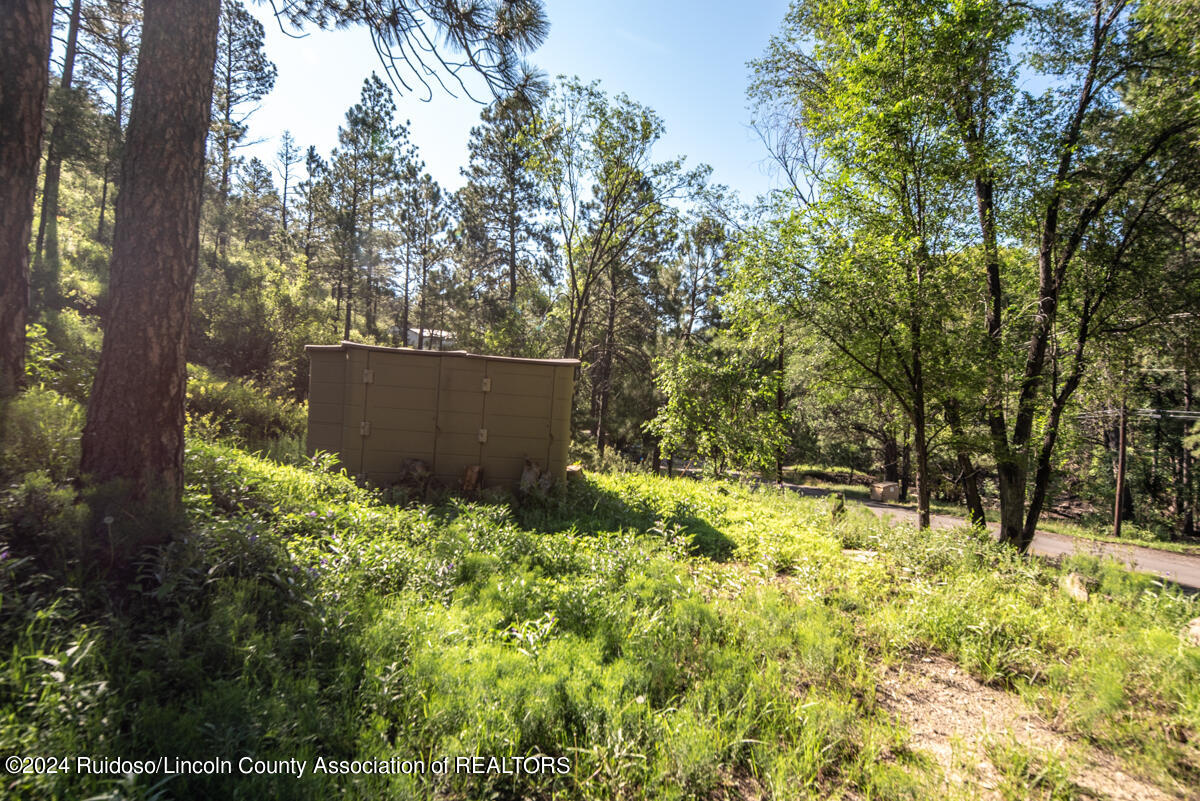 236 Paradise Canyon Drive, Ruidoso, New Mexico image 20