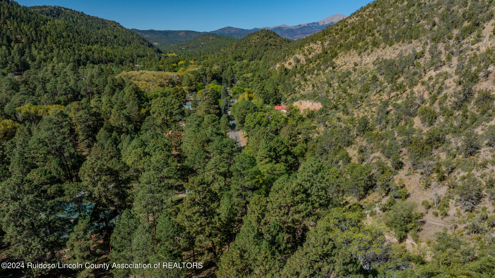 161 Meander Dr, Ruidoso, New Mexico image 9