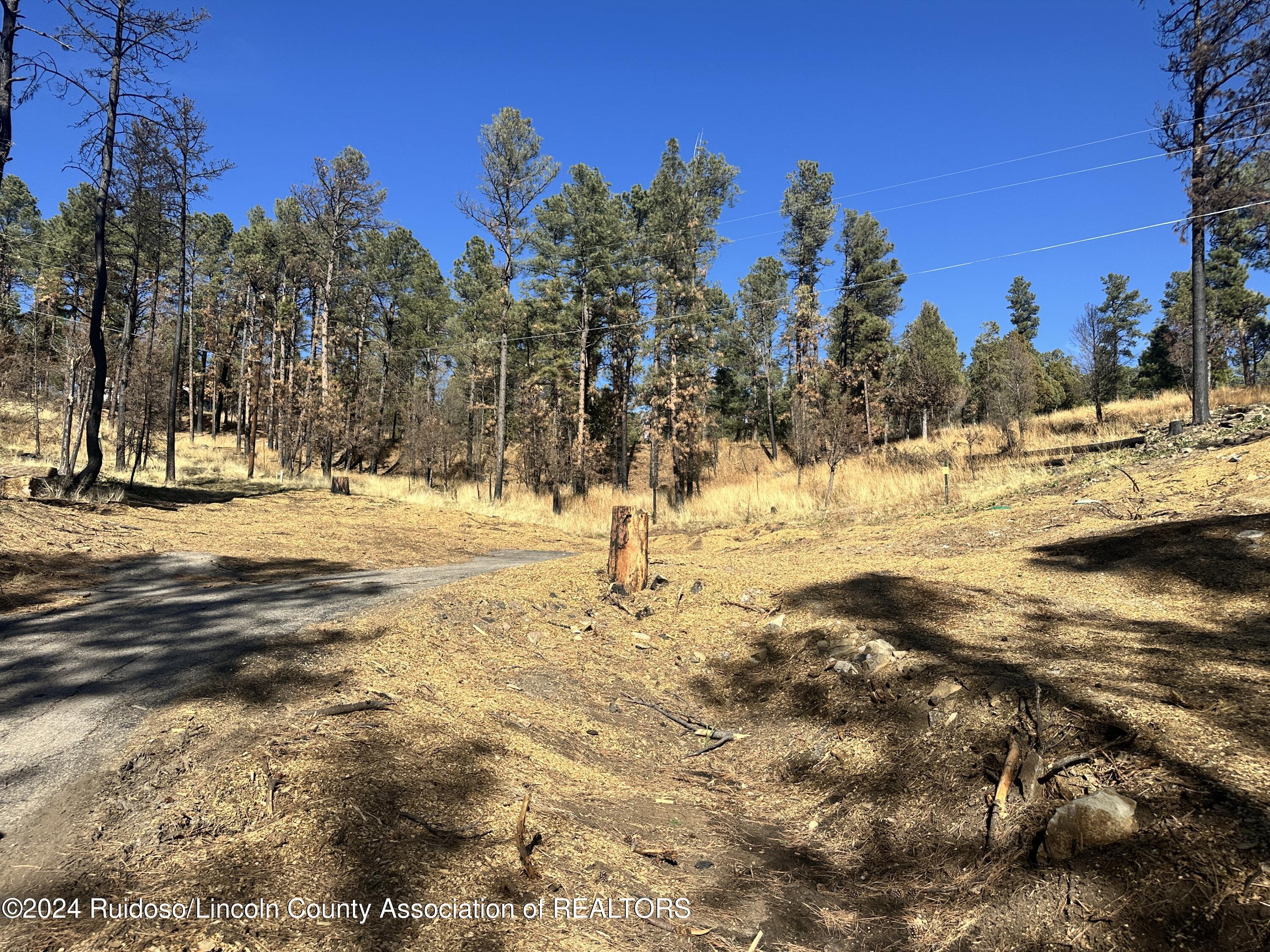 141 Sunset Drive, Alto, New Mexico image 3