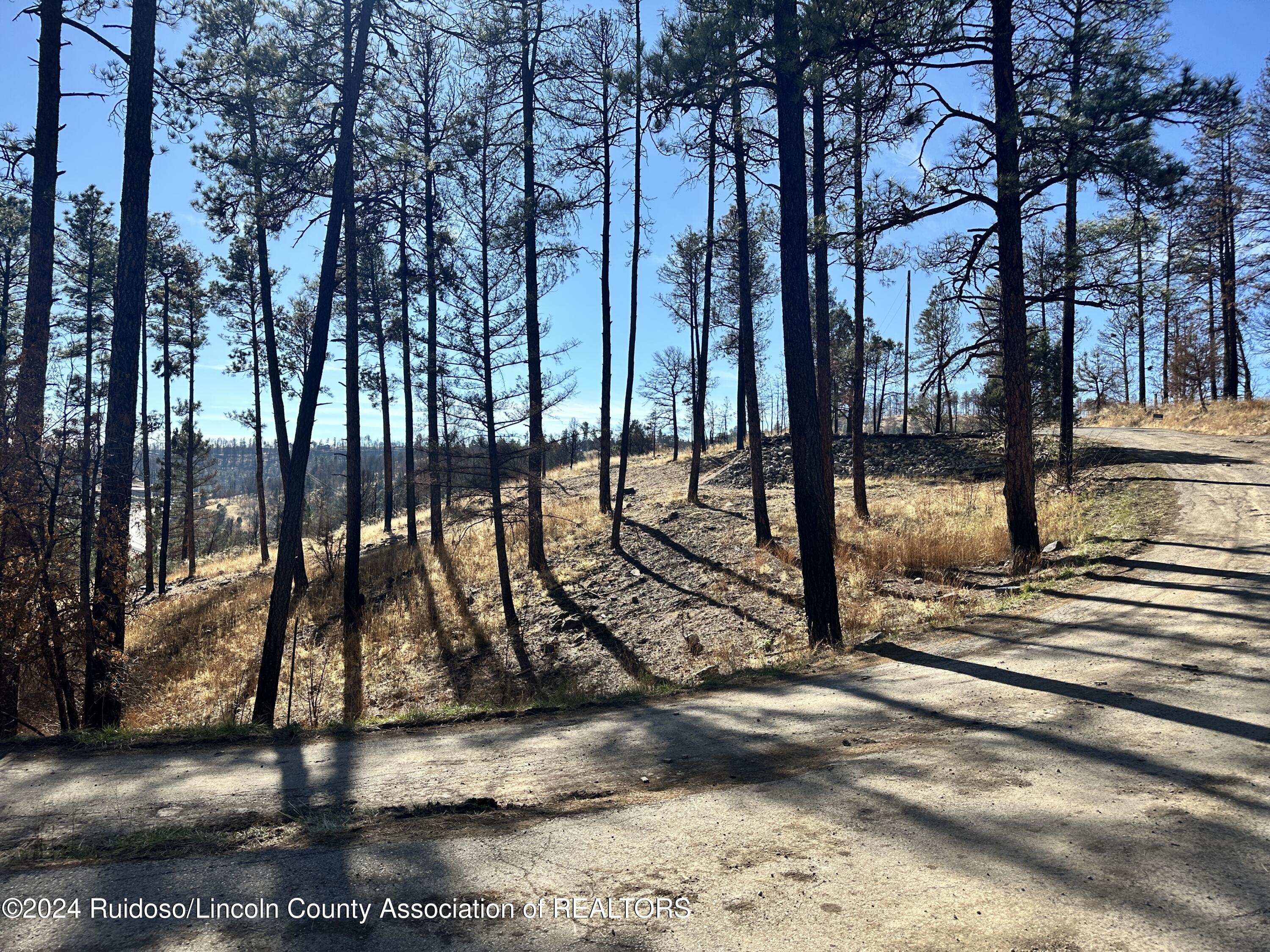 141 Sunset Drive, Alto, New Mexico image 5