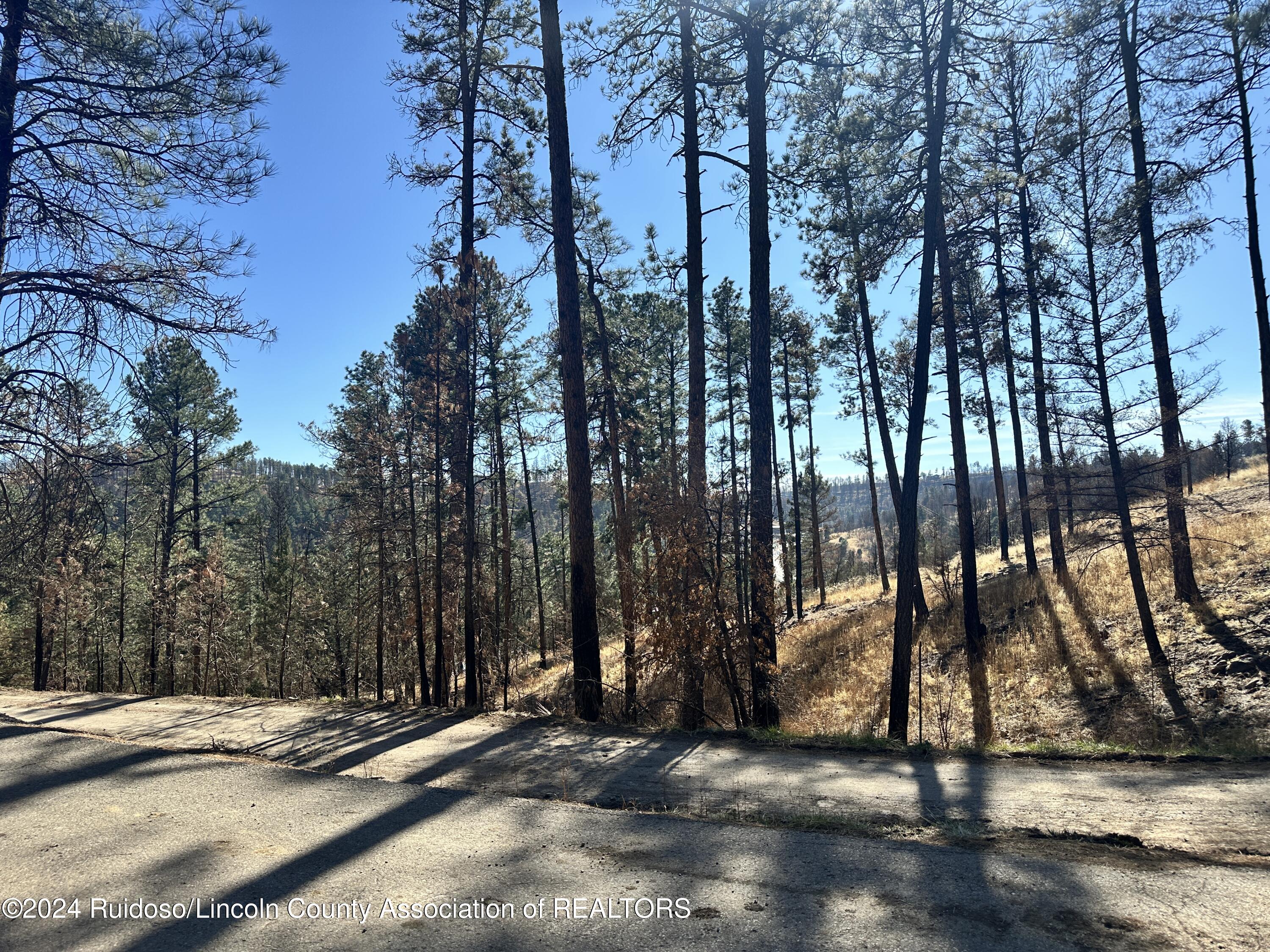 141 Sunset Drive, Alto, New Mexico image 6