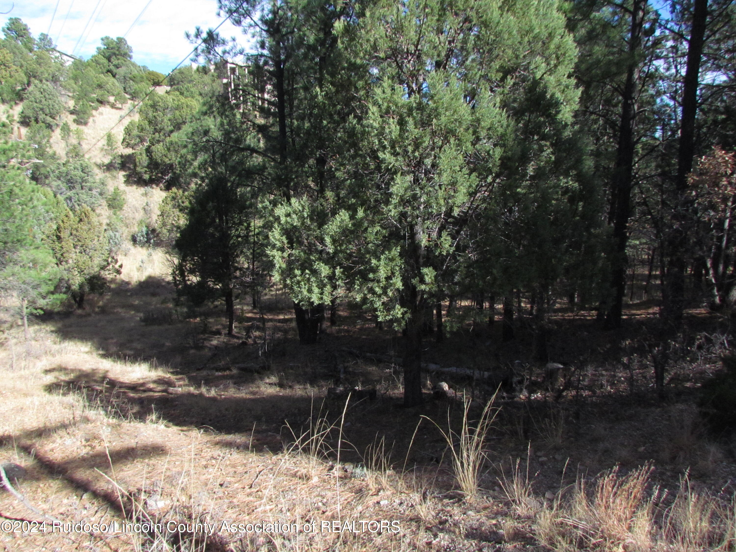 L37 Sawmill Canyon, Alto, New Mexico image 5