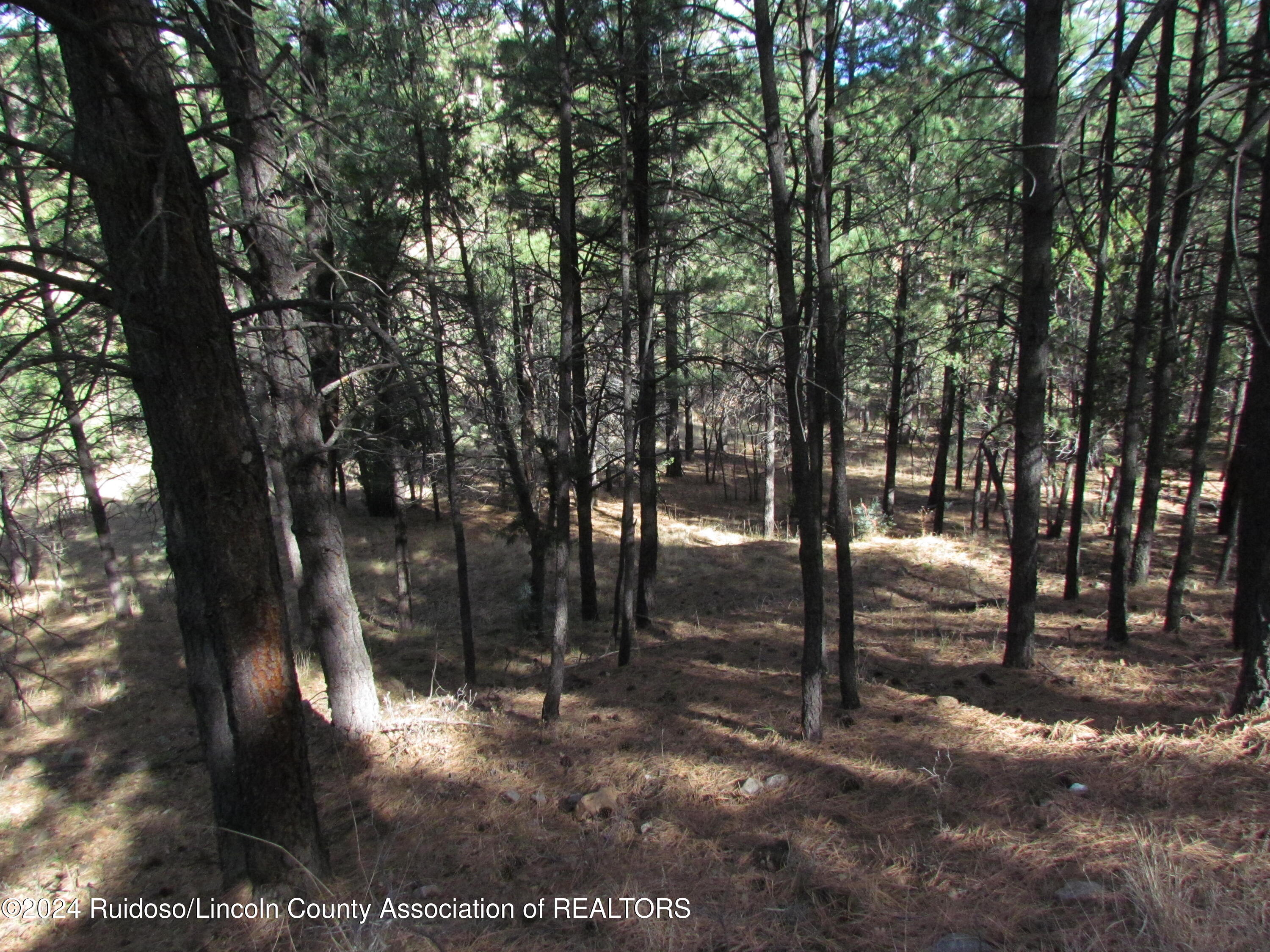 L37 Sawmill Canyon, Alto, New Mexico image 2