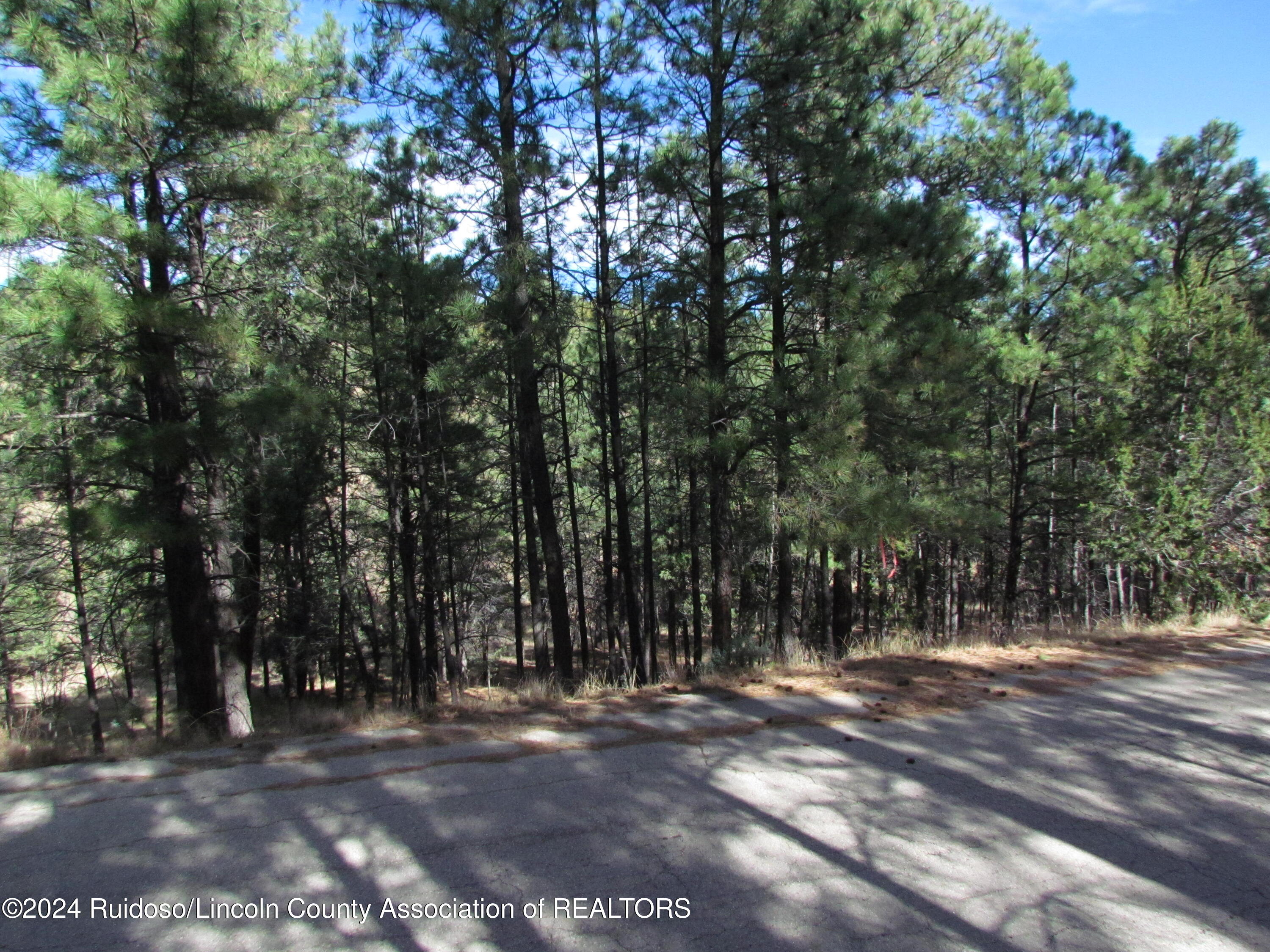 L37 Sawmill Canyon, Alto, New Mexico image 7