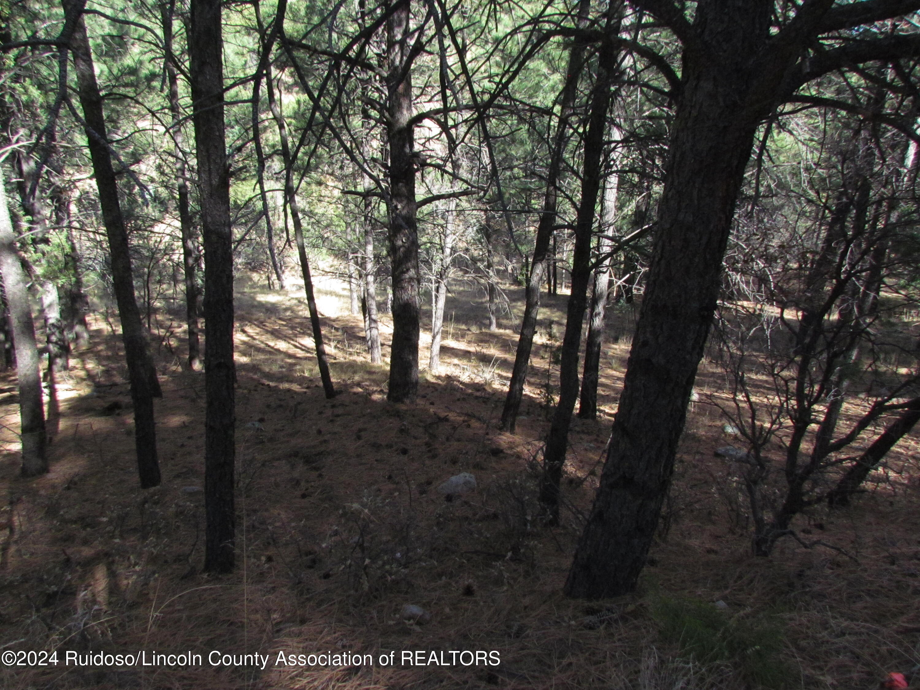 L37 Sawmill Canyon, Alto, New Mexico image 4