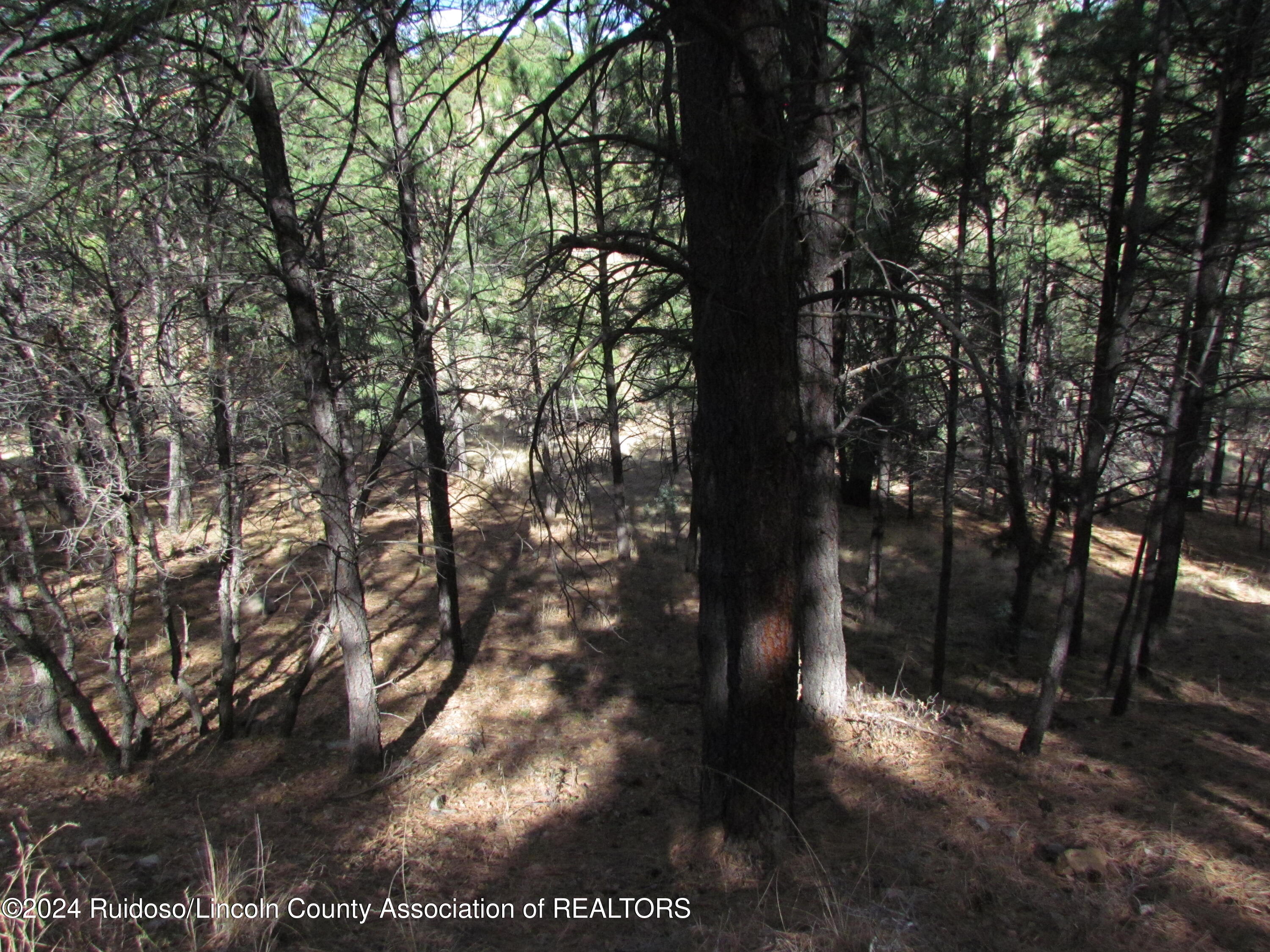 L37 Sawmill Canyon, Alto, New Mexico image 3