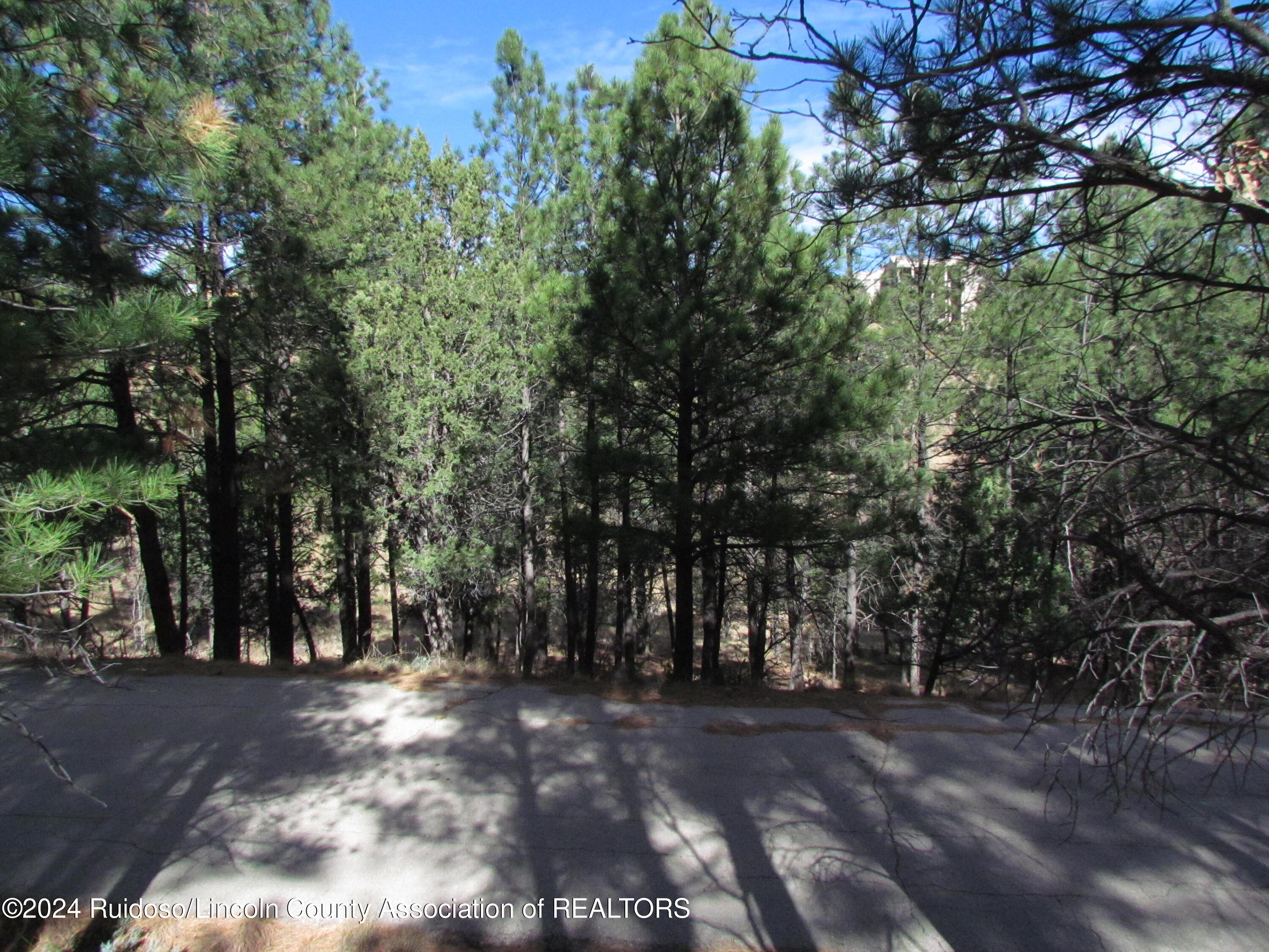 L37 Sawmill Canyon, Alto, New Mexico image 8