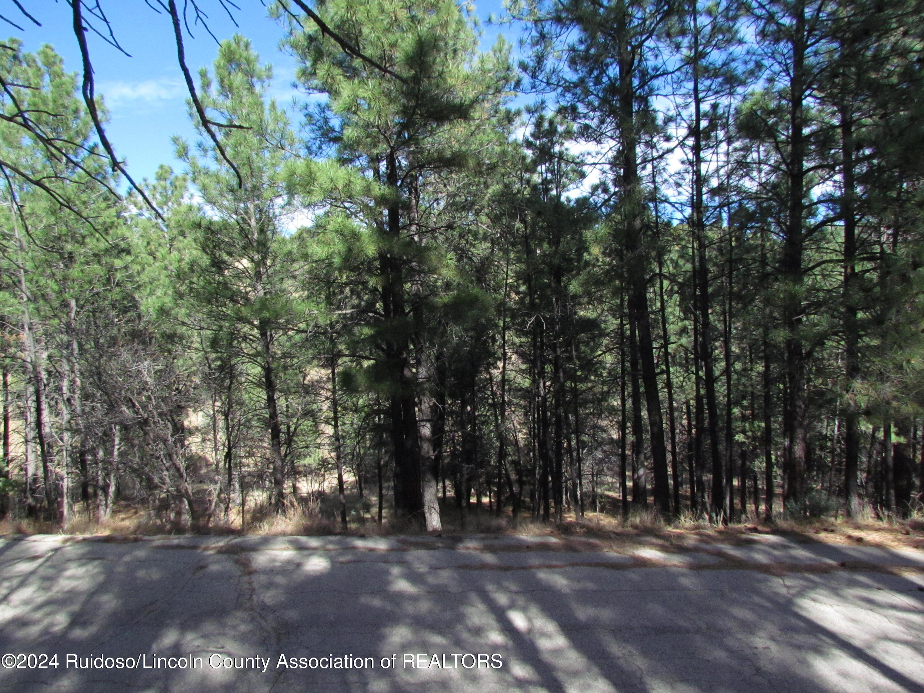 L37 Sawmill Canyon, Alto, New Mexico image 6