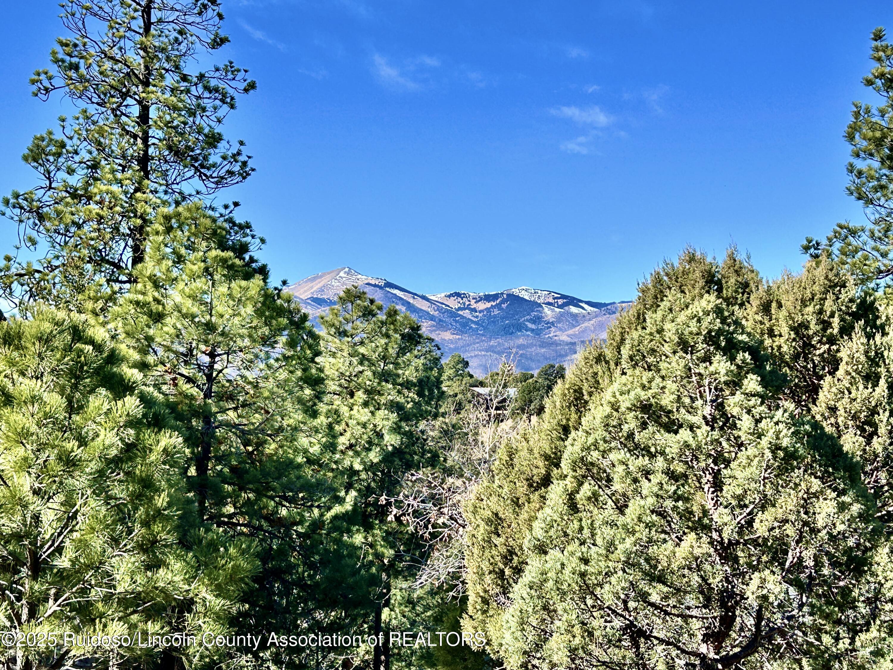 204 Timberline Court, Ruidoso, New Mexico image 1