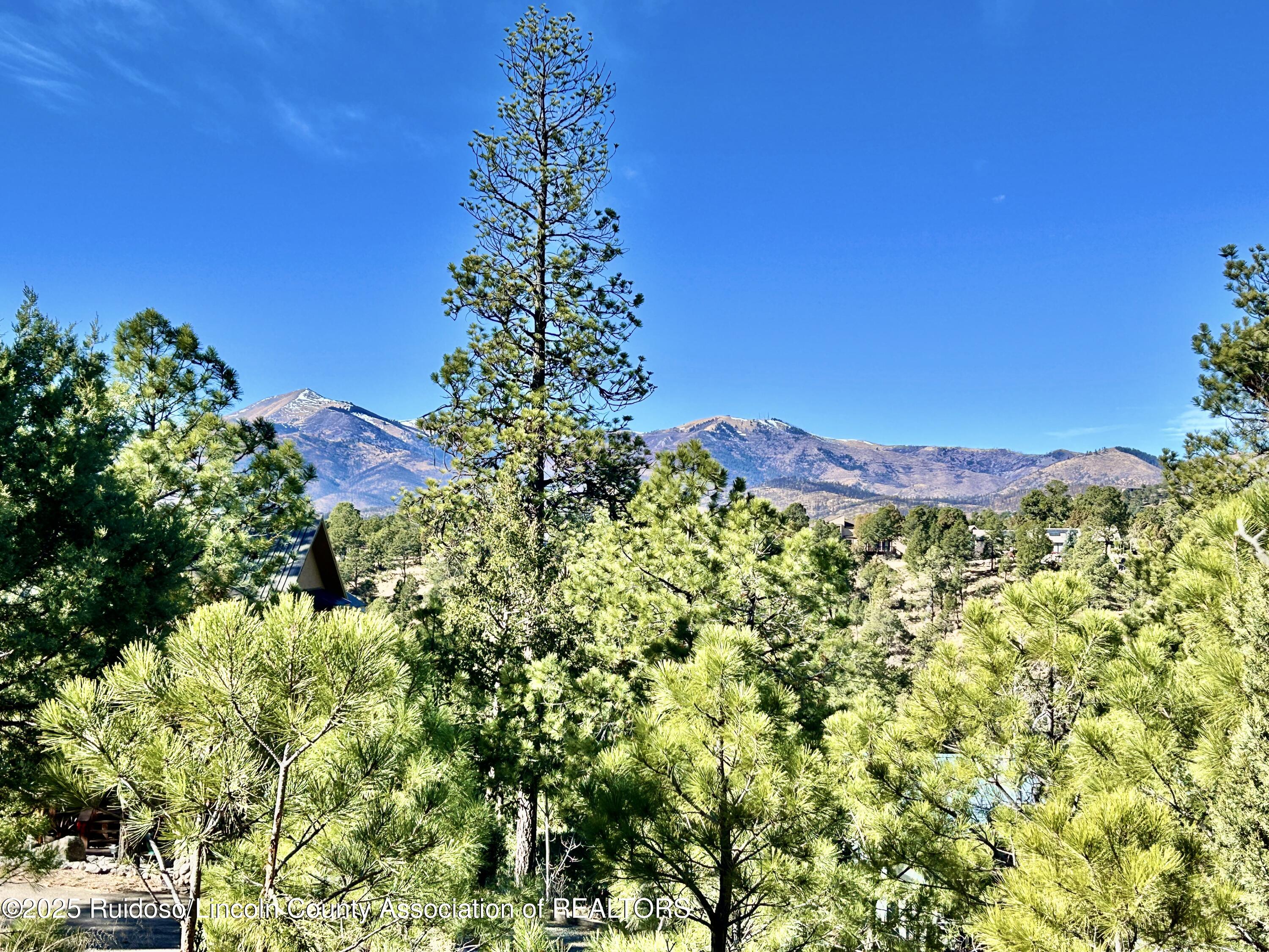 204 Timberline Court, Ruidoso, New Mexico image 10